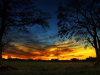 east-texas-sunset